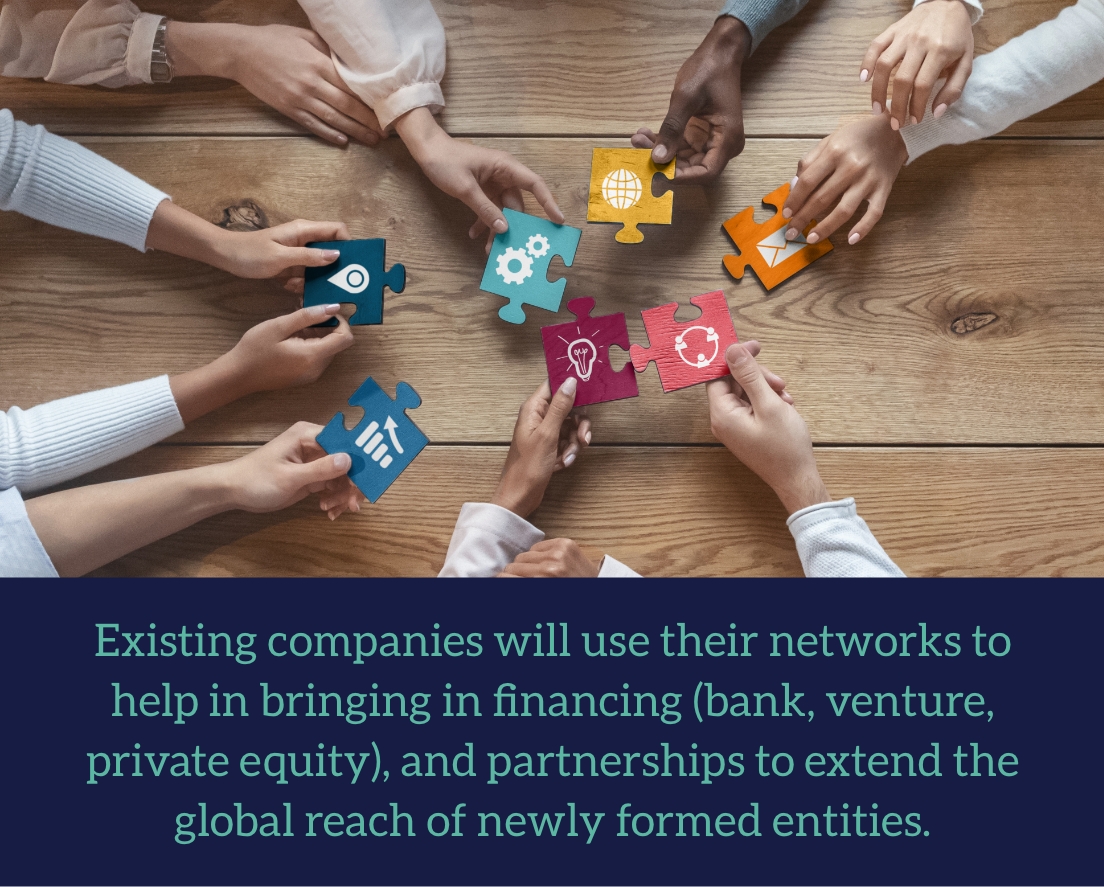 Existing companies will use their networks to help in bringing in financing (bank, venture, private equity), and partnerships to extend the global reach of newly formed entities.